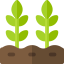 Plants Symbol 64x64