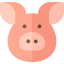 Pig icon 64x64