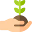 Plant icon 64x64