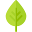 Leaf icon 64x64