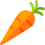 Carrot icon 64x64
