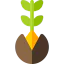 Germination icon 64x64