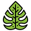 Palm icon 64x64