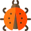 Bug icon 64x64