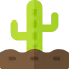 Cactus icon 64x64