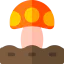 Mushroom icon 64x64