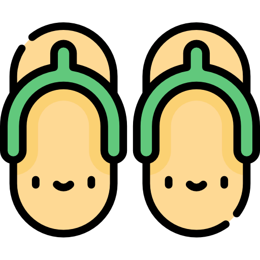 Flip flops icon