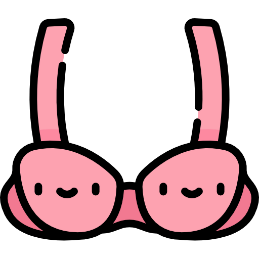 Bra icon