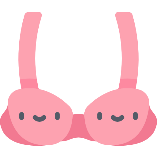 Bra icon