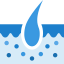 Epidermis icon 64x64