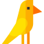 Canary icon 64x64