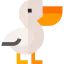 Pelican icon 64x64