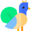 Peacock icon 64x64
