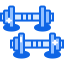 Dumbbells icon 64x64