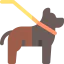 Dog icon 64x64