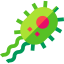 Bacteria icon 64x64