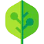 Leaf icon 64x64