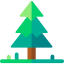 Pine icon 64x64