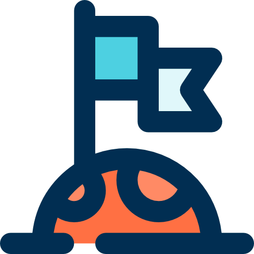 Flag icon