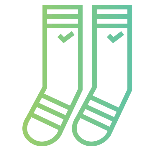 Socks icon