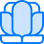 Lotus icon 64x64