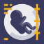 Pregnancy icon 64x64