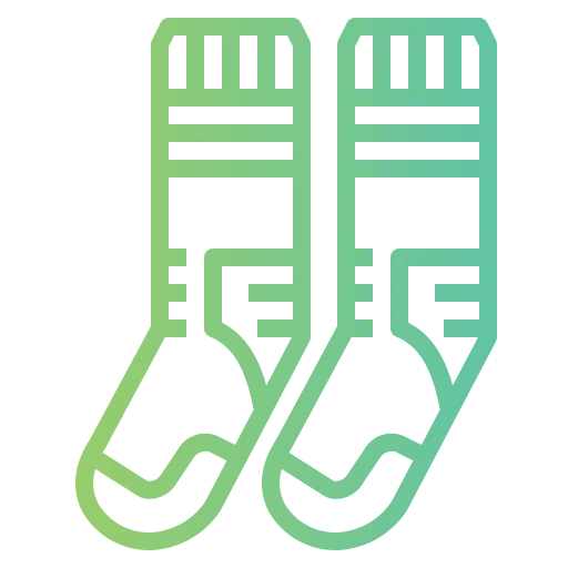 Socks icon