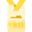 Pass icon 64x64