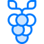 Grape icon 64x64