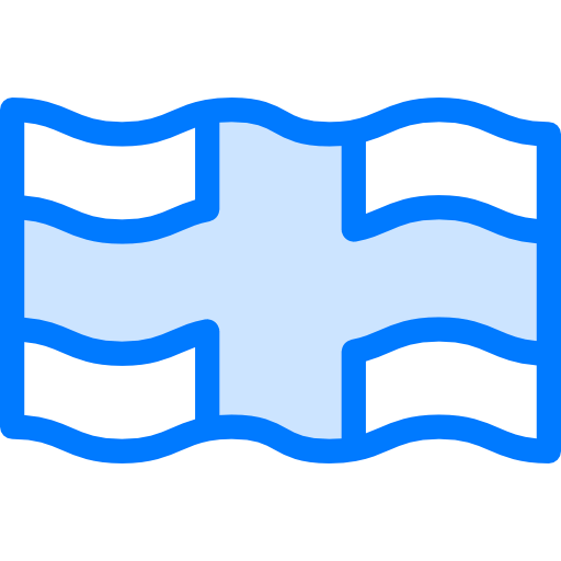 Flag icon