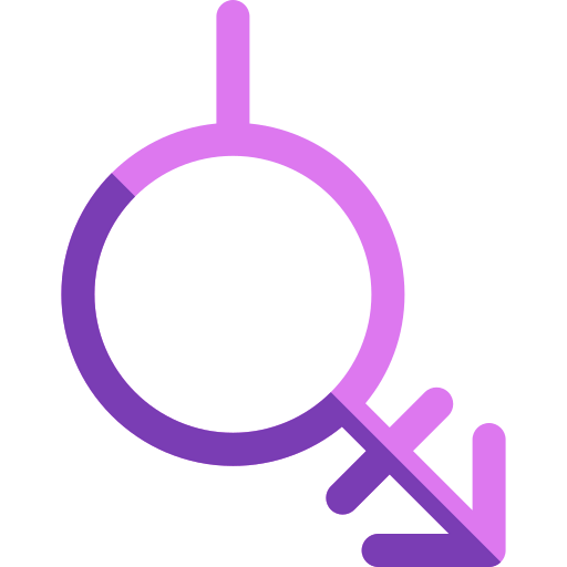 Bigender icon