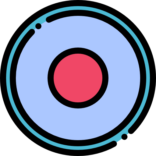 Record icon