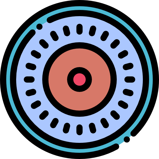 Record icon