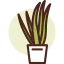 Aloe vera icon 64x64