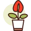 Anthurium icon 64x64