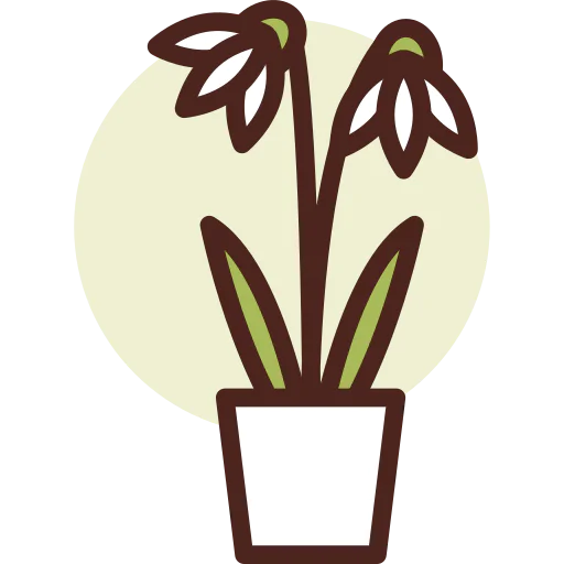 Botanic 상