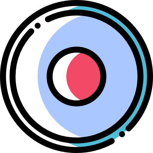 Record icon