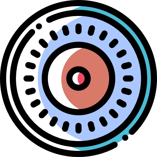 Record icon