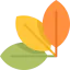 Leaves icon 64x64