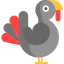 Turkey icon 64x64