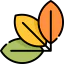 Leaves icon 64x64