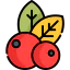 Berries Ikona 64x64