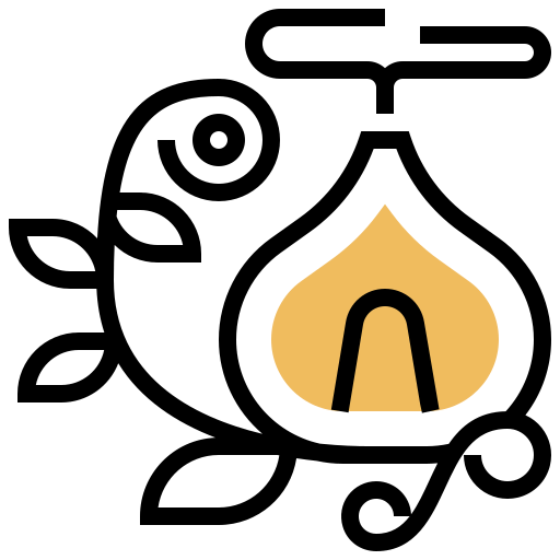 Aromatherapy icon