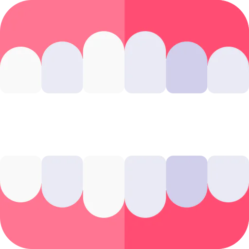 Denture icon