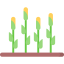 Corn icon 64x64