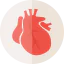 Heart icon 64x64