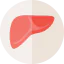 Liver Symbol 64x64