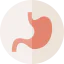 Stomach 상 64x64