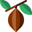 Cocoa bean icon 64x64