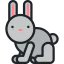 Rabbit icon 64x64